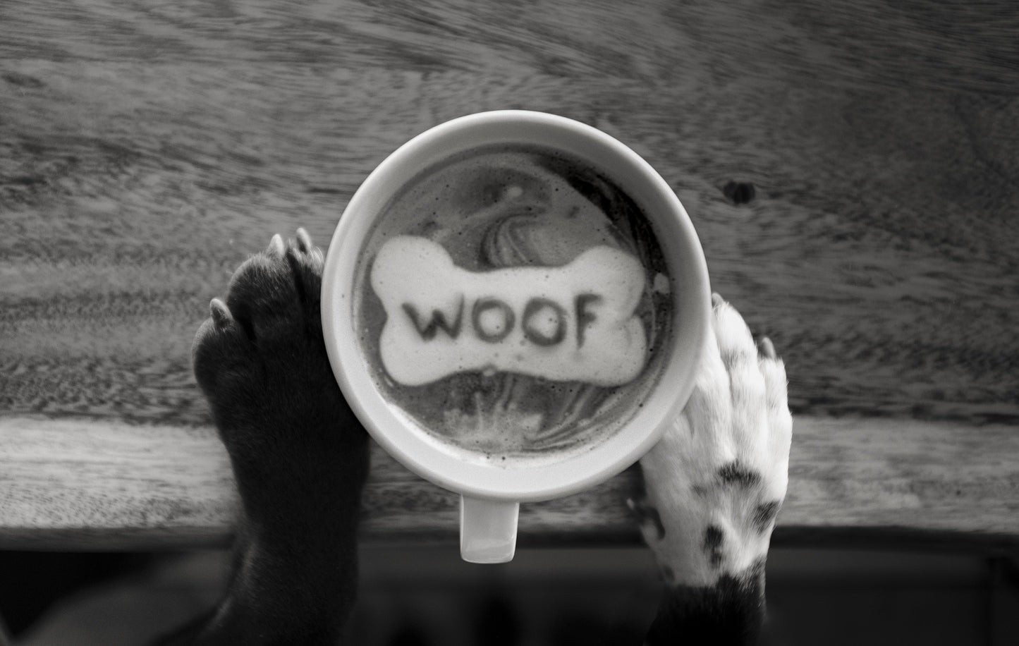 Latte Art 12"x18" B&W Luster Prints